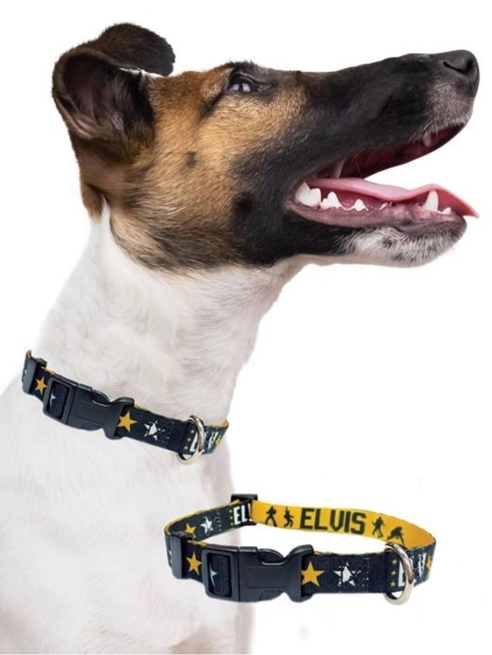 Elvis Presley Dog Collar